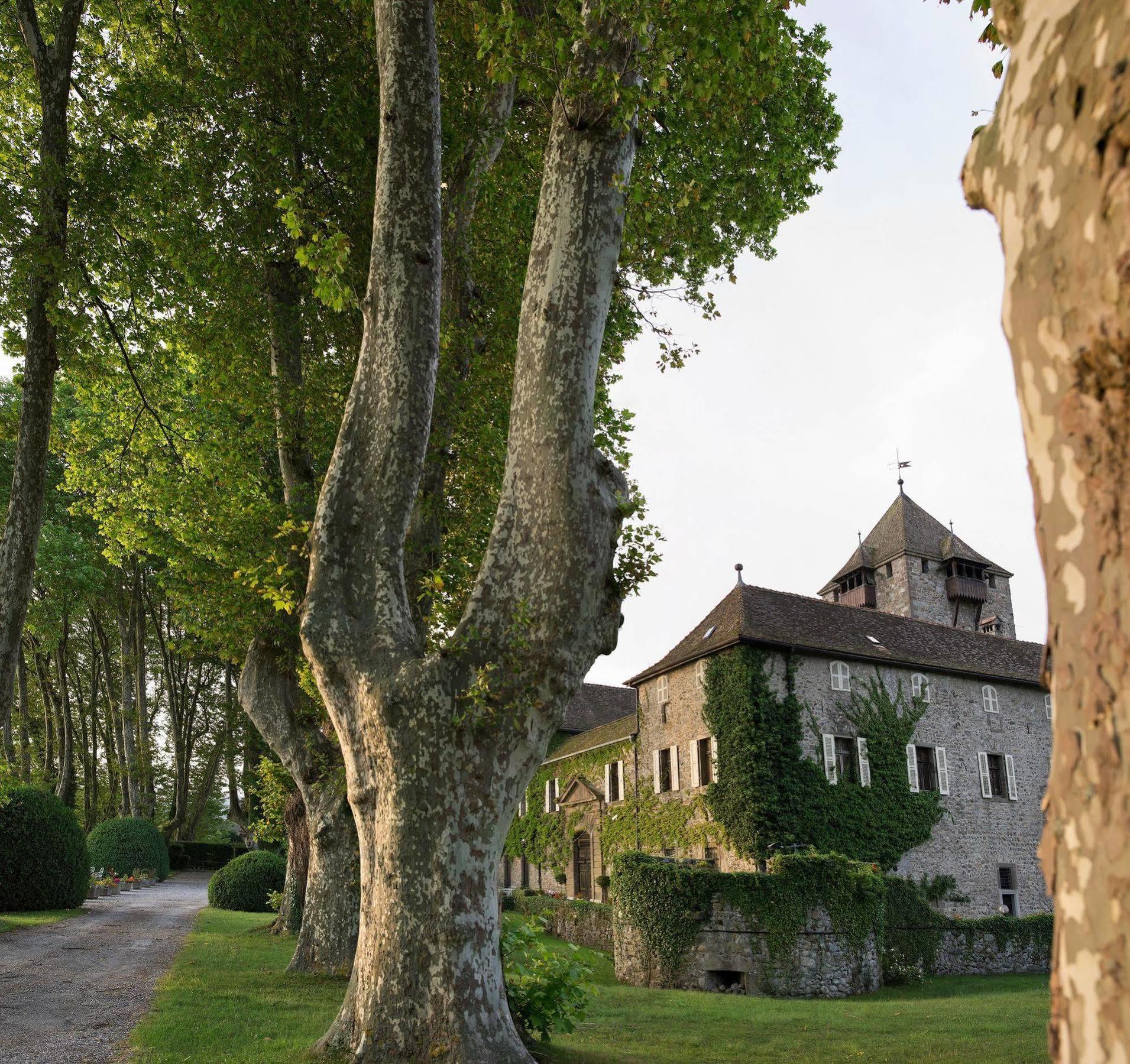 Château De Coudrée - Les Collectionneurs Sciez Extérieur photo